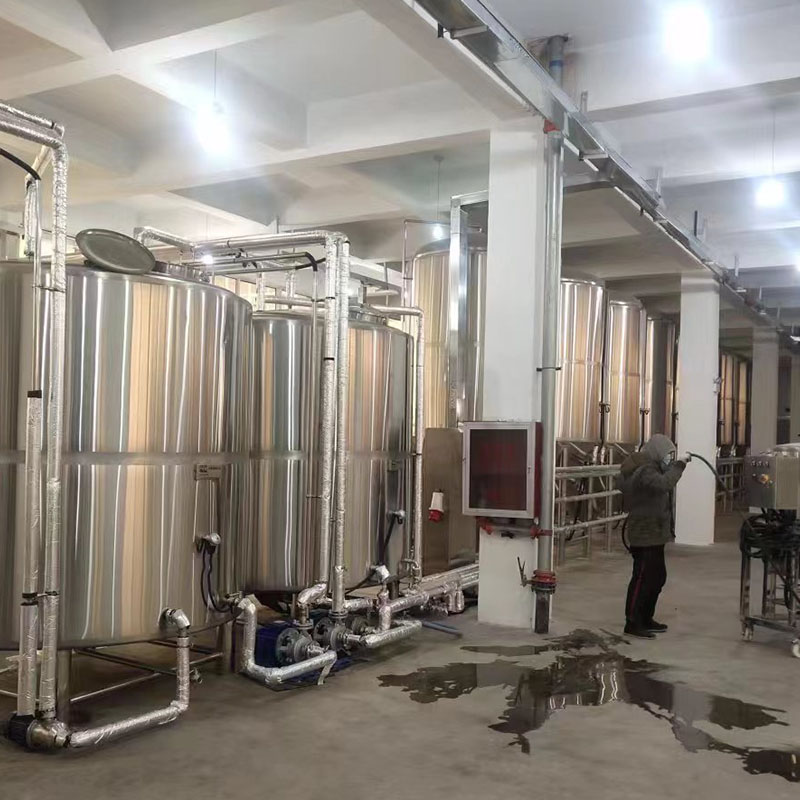 田阳精酿啤酒设备